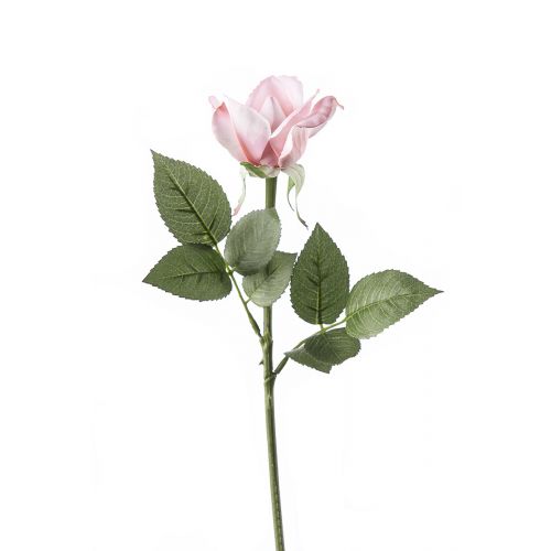 Роза CAROLINE декоративная real touch