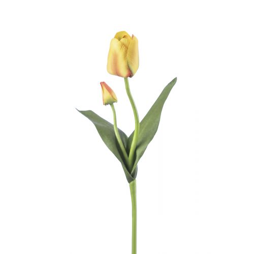 Тюльпан желтый SMALLY декоративный